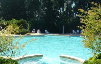 la piscine du camping du pPont d'Avignon