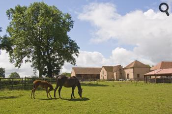 Haras du Chateau d'Ygrande