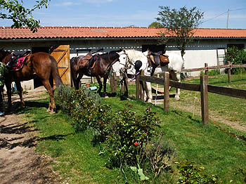 Départ pour une randonnée à cheval de deux jours dans le Cantal, avec visite d'une chèvrerie.