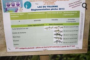 Poissons de l'étang de pêche