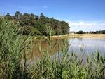 Camping de l'étang du Merle en Bourgogne