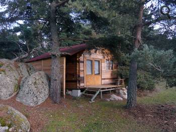 cabane en bois