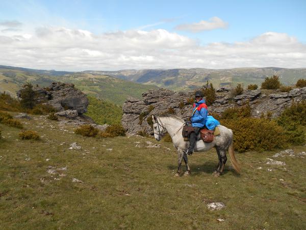 randonnee cheval cevennes