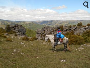 Randonnée à cheval dans les Cévennes