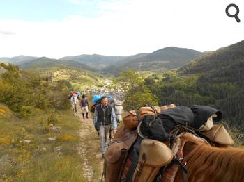 A cheval dans  les Cévennes