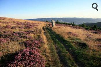 Le mont Lozère