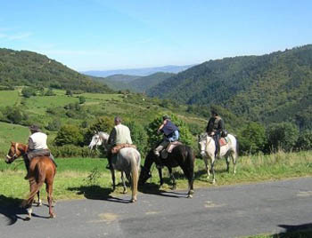 Paysage de la campagne lozérienne