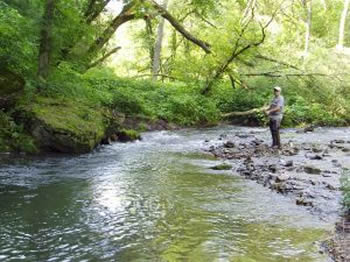 Pêche à la mouche dans le Cantal