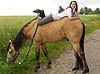 Séjour randonnée à cheval dans le Cantal