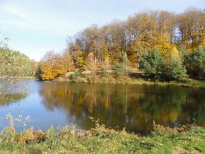 le lac du moulin