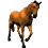 randonnée à cheval