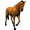 cheval