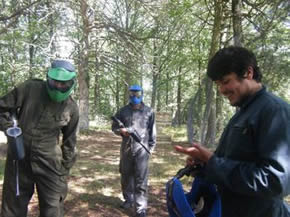 Painball en forêt
